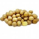 Potato Marble (589644)