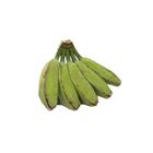 Cardava Banana