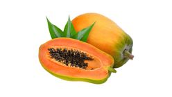 Red Lady Papaya (594823)