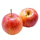 Tlf Fuji Apple 113 1 Piece