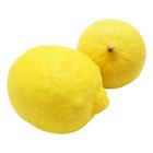 Tlf Lemon 1 Piece
