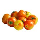 TLF Tomato Native (198846)