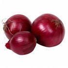 Tlf Onion Red - 198848