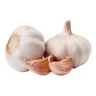 Tlf Garlic Whole Imported - 198852