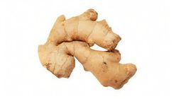 Ginger (127711)