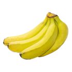 Sunnyphil Banana Cavendish - 127830