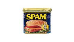 Spam Luncheon Meat 340g