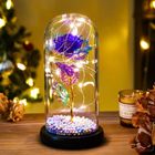 Enchanted Glass Dome - Purple 1 Piece