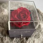 Preserved Rose Drawer + Necklace 1 Piece