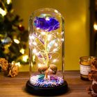 Purple Enchanted Glass Dome with Couple Kiss 1 Piece