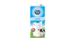Dutch Lady Low Fat Milk 1L