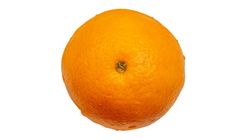 Navel Orange 50g