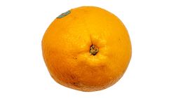 Navel Orange 100g
