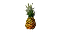 Philippine Pineapple 1.5kg