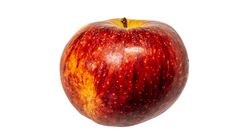 Envy Apple (Large Size) 120g