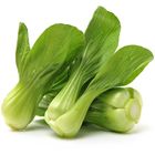 SIO PECK CHYE MALAYSIA 220G