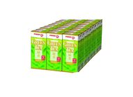 Pokka TB Jasmine Green Tea 250ml 4x6S Carton - 18888196451719
