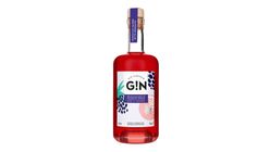Blackberry & Elderflower Gin Liqueur 500ml (29127894)