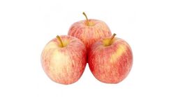 Royal Gala Apple