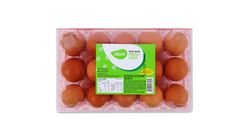 Giant Premium Fresh Eggs (15pcs) 900g