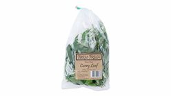 Curry Leaf Malaysia 50g