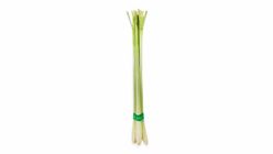 Lemon Grass Malaysia 100g
