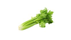 Celery Australia 1kg