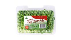 P&L Pea Sprouts Singapore 150g