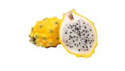 Yellow Pitaya Ecuador 1pc