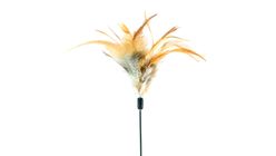 AMY N CAROL | CAT TEASER - CHICKEN FEATHER (BROWN) 60cm (BW/AT3634) | 1pc