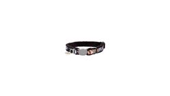 ROGZ | FASHION CAT COLLAR (WILD STRIPES) (SMALL) (20-31cm) 0.012kg (RG0CB253WS)
