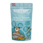 LITTLE BIG PAW | POUCH ATLANTIC SALMON AND VEGETABLE TERRINE 150g (FC0PCHD150S)