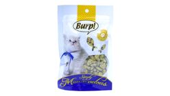 BURP | CAT BISCUITS - CATNIP FLAVOR 50g (BWFWC20631)