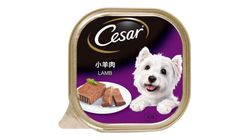 CESAR | Lamb 100g (8403050)