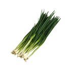 Spring Onion Malaysia 120g