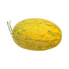 Premium Hami Melon 1pc