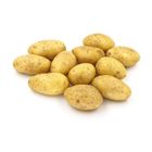 Holland Potato China 1.2kg
