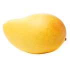 Sindhri Mango Pakistan 1 Piece