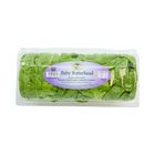 Baby Butterhead Malaysia 150g