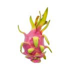 Dragonfruit Vietnam Large 1pc