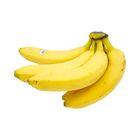Cavendish Banana (5093428)