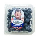 Sl Jumbo Blueberry 125g