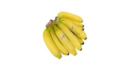 Cavendish Banana Aloha