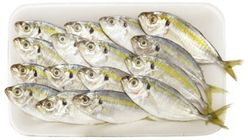 Fresh Ikan Kunning