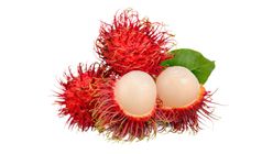 Rambutan (5066491)