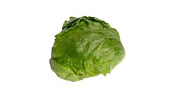 Iceberg Lettuce Malaysia 400g