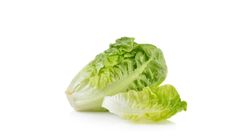 Baby Romaine Malaysia 200G