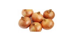 Large Yellow Onion (Australia)