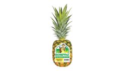 Rompine Pineapple 1 Piece