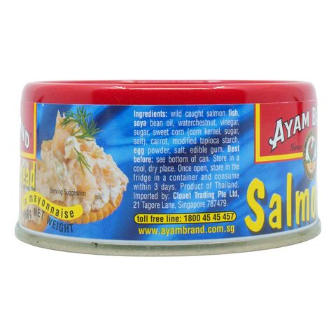 Ayam Brand Salmon Spread 160g